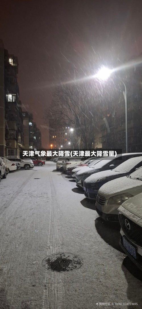 天津气象最大降雪(天津最大降雪量)-第2张图片