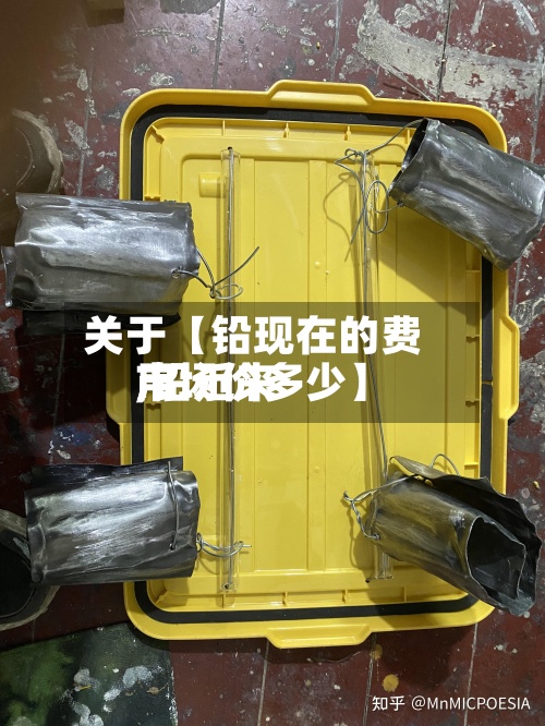 关于【铅现在的费用
,铅近来
市场价多少】