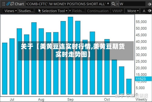 关于【美黄豆连实时行情,美黄豆期货实时走势图】-第2张图片
