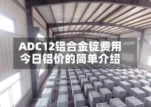 ADC12铝合金锭费用
今日铝价的简单介绍-第2张图片