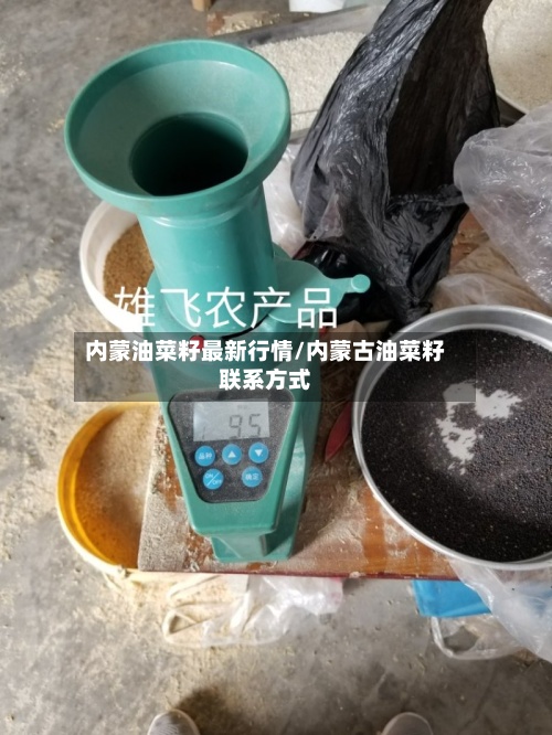 内蒙油菜籽最新行情/内蒙古油菜籽联系方式-第2张图片