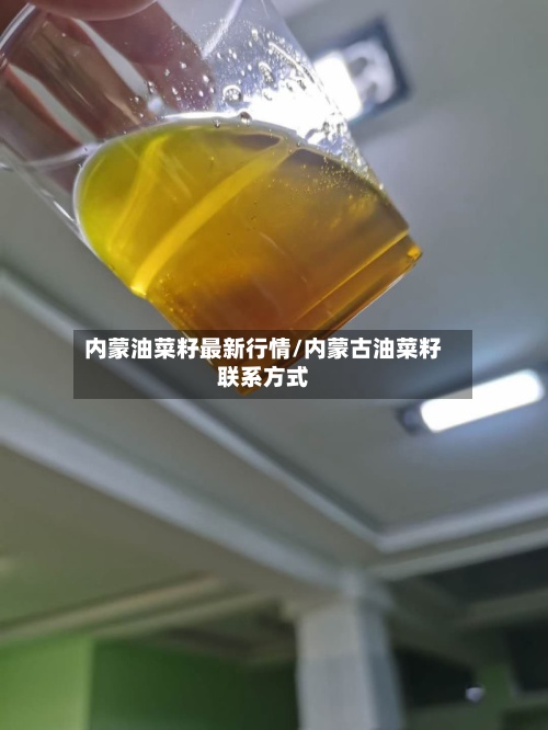 内蒙油菜籽最新行情/内蒙古油菜籽联系方式-第3张图片