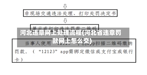 河北违章网上处理流程(河北省违章罚款网上怎么交)