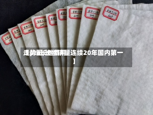 【pta长丝费用
走势图,长丝销量连续20年国内第一】-第3张图片