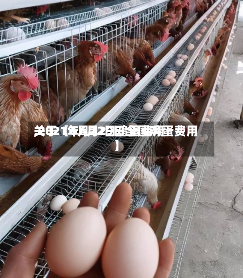 关于【6月22日鸡蛋费用,2021年6月29日全国鸡蛋费用】-第2张图片