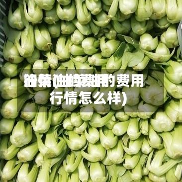 油菜油的费用
行情(油菜油的费用
行情怎么样)