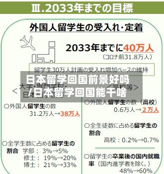 日本留学回国前景好吗/日本留学回国能干啥-第2张图片