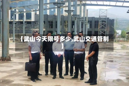 【武山今天限号多少,武山交通管制】