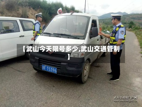 【武山今天限号多少,武山交通管制】-第2张图片