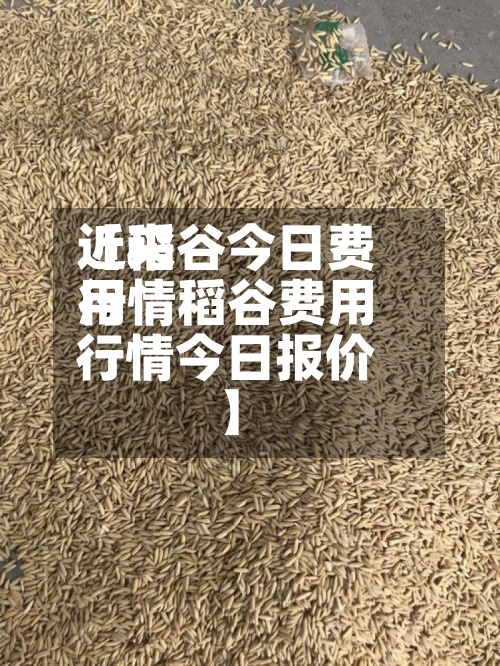 近来
【稻谷今日费用
行情稻谷费用
行情今日报价】-第2张图片