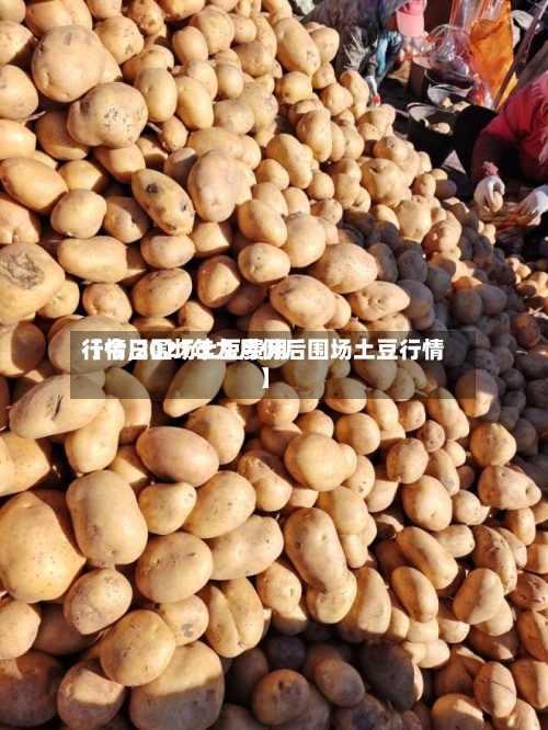 【今日围场土豆费用
行情,2021年九月份后围场土豆行情】-第3张图片
