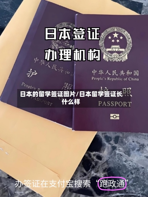 日本的留学签证图片/日本留学签证长什么样