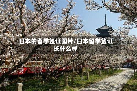 日本的留学签证图片/日本留学签证长什么样-第2张图片