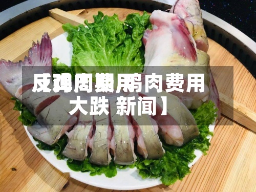 【鸡肉费用
反弹周期,鸡肉费用
大跌 新闻】