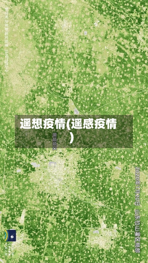 遥想疫情(遥感疫情)-第2张图片
