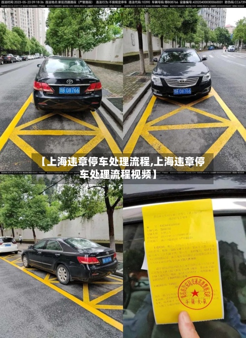 【上海违章停车处理流程,上海违章停车处理流程视频】