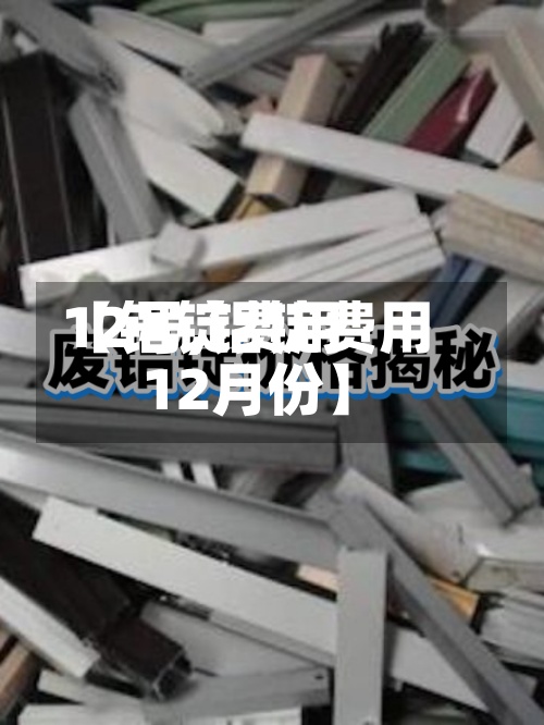 【铝锭费用12号,铝锭费用12月份】