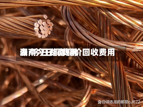 湖南今日铜费用
表/今日湖南铜价回收费用
-第2张图片