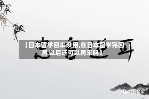 【日本留学回来没用,在日本留学完回国 以后还可以再来吗】-第2张图片