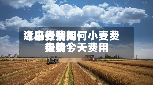 近来【小麦费用今日行情如何小麦费用行情今天费用走势】-第2张图片