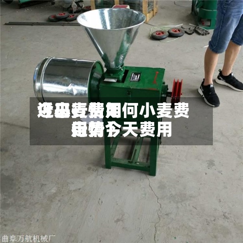 近来
【小麦费用
今日行情如何小麦费用
行情今天费用
走势】