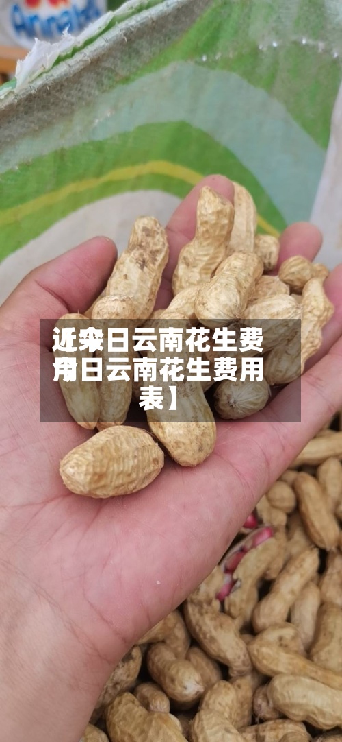 近来
【今日云南花生费用
今日云南花生费用
表】-第2张图片