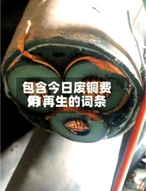 包含今日废铜费用
91再生的词条-第2张图片