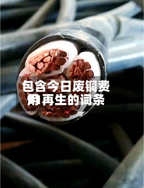 包含今日废铜费用
91再生的词条-第3张图片