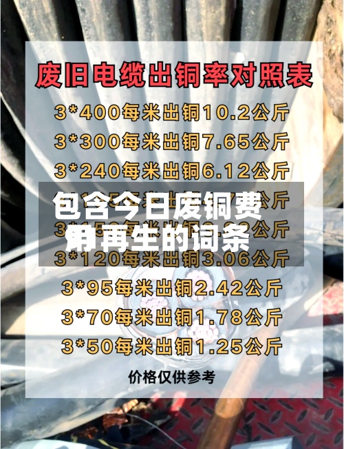 包含今日废铜费用
91再生的词条