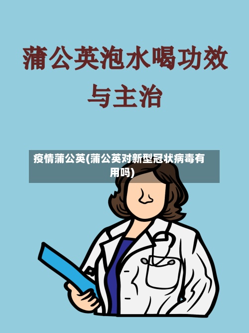 疫情蒲公英(蒲公英对新型冠状病毒有用吗)-第3张图片