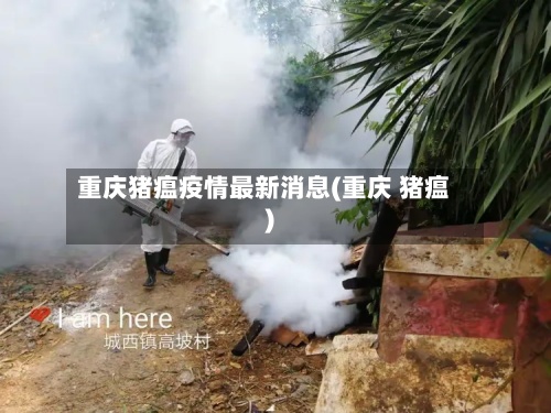 重庆猪瘟疫情最新消息(重庆 猪瘟)
