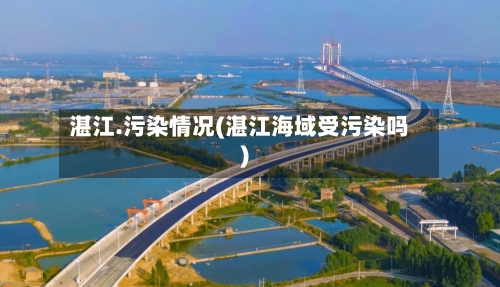 湛江.污染情况(湛江海域受污染吗)