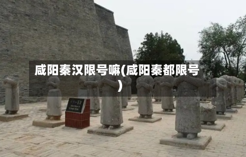 咸阳秦汉限号嘛(咸阳秦都限号)-第2张图片