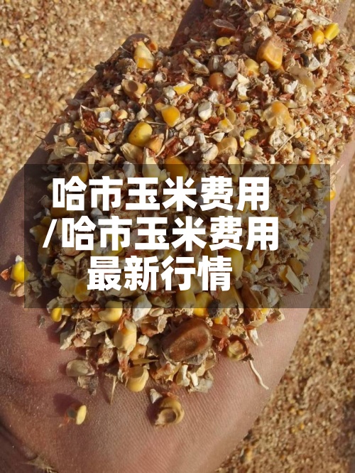 哈市玉米费用
/哈市玉米费用
最新行情-第2张图片
