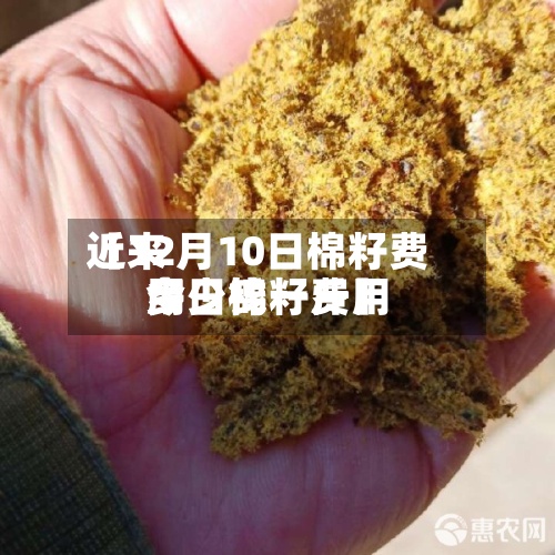 近来
【12月10日棉籽费用
今日棉籽费用
多少钱一斤】-第2张图片