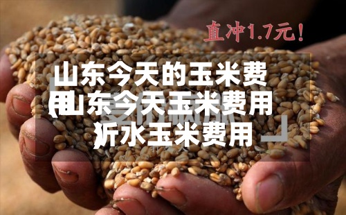 山东今天的玉米费用(山东今天玉米费用沂水玉米费用)