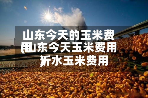 山东今天的玉米费用
(山东今天玉米费用
沂水玉米费用
)-第2张图片