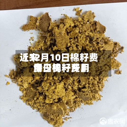 近来
【12月10日棉籽费用
今日棉籽费用
多少钱一斤】