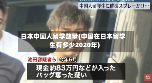 日本中国人留学数量(中国在日本留学生有多少2020年)-第2张图片