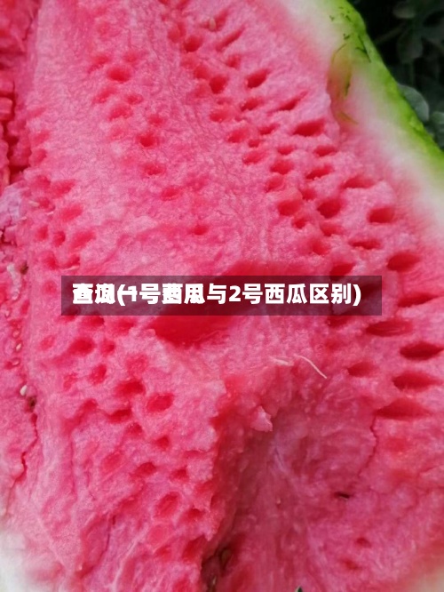 西瓜一号费用
查询(1号西瓜与2号西瓜区别)