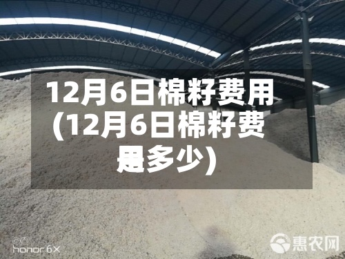 12月6日棉籽费用
(12月6日棉籽费用
是多少)-第2张图片