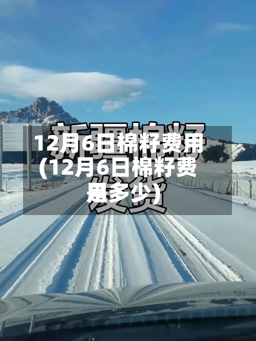 12月6日棉籽费用
(12月6日棉籽费用
是多少)