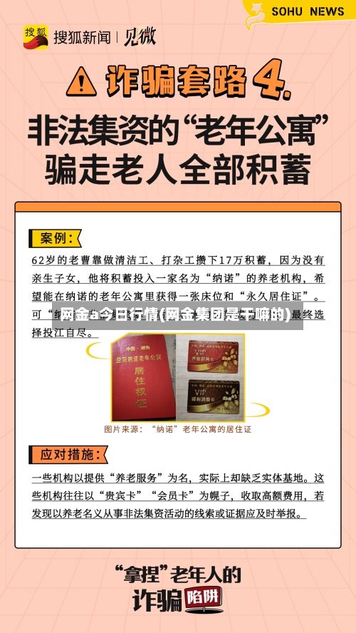 网金a今日行情(网金集团是干嘛的)