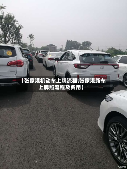 【张家港机动车上牌流程,张家港新车上牌照流程及费用】-第2张图片
