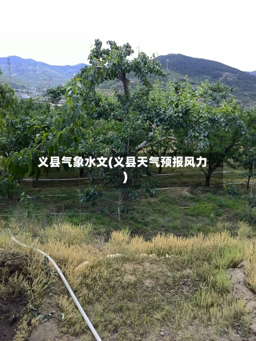 义县气象水文(义县天气预报风力)-第2张图片