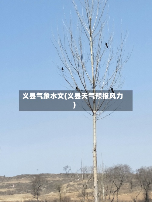 义县气象水文(义县天气预报风力)