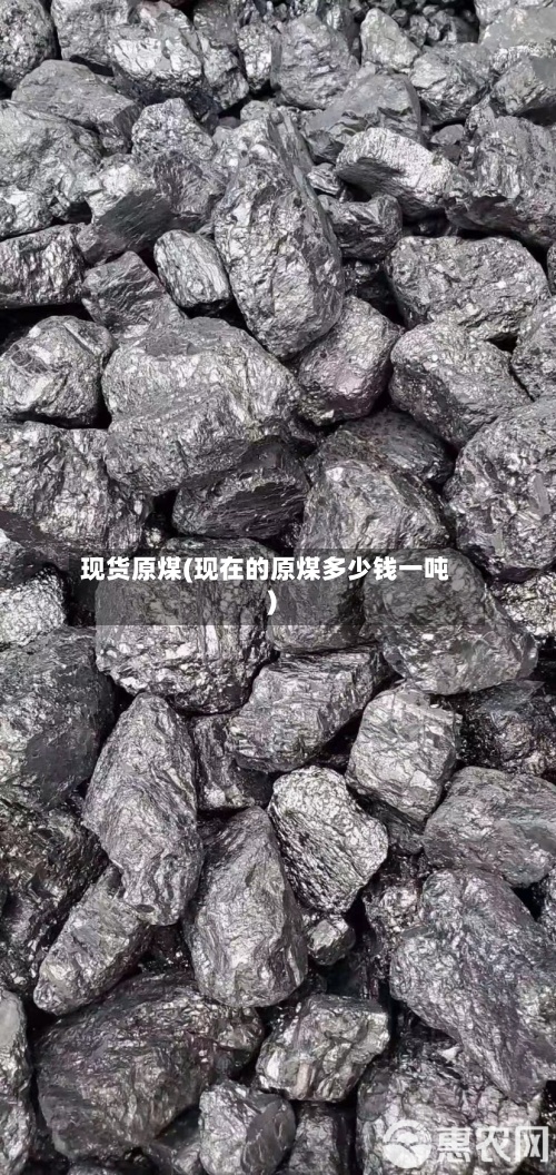 现货原煤(现在的原煤多少钱一吨)-第2张图片