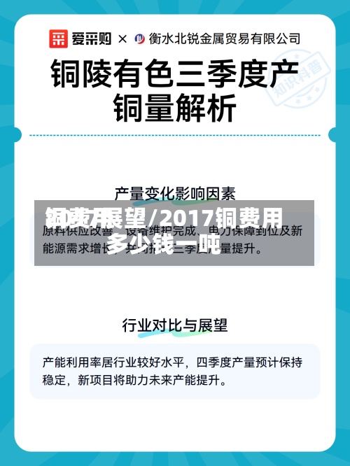 铜费用2017展望/2017铜费用多少钱一吨-第2张图片