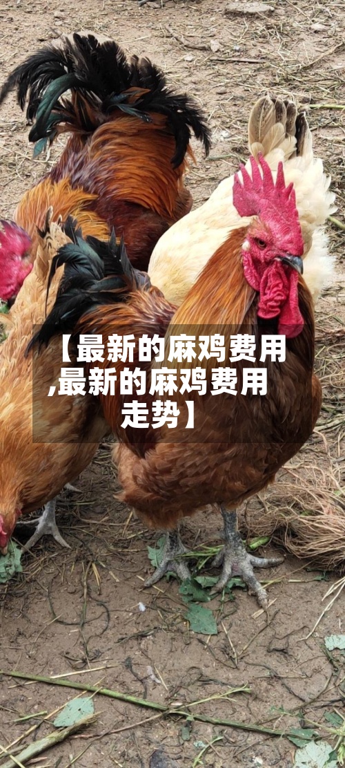 【最新的麻鸡费用
,最新的麻鸡费用
走势】-第2张图片