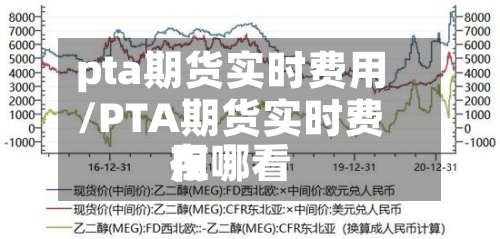 pta期货实时费用
/PTA期货实时费用
在哪看